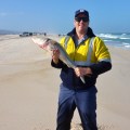 davo landed salmon yeagarup beach