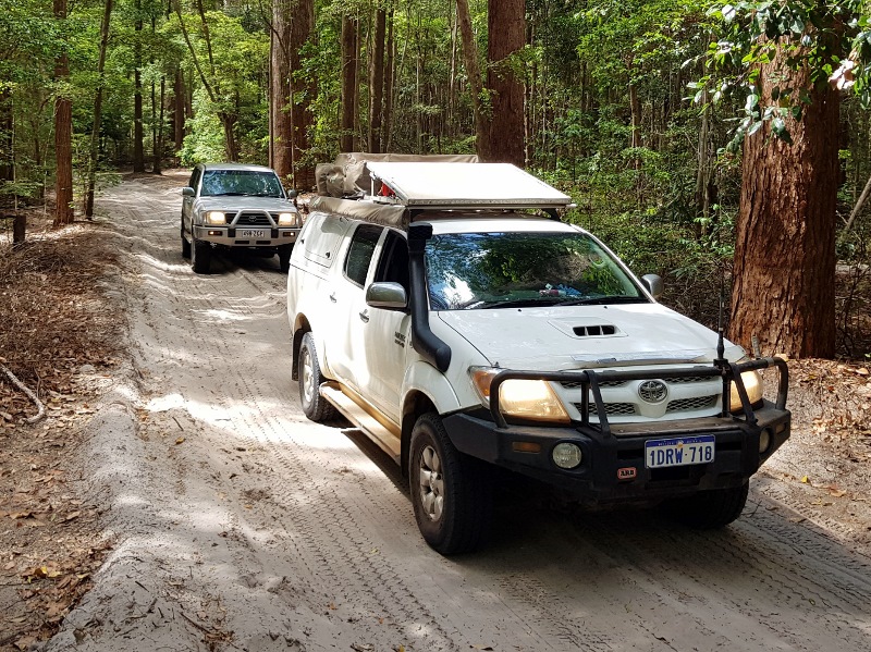 fraser island track to lake mckenzie