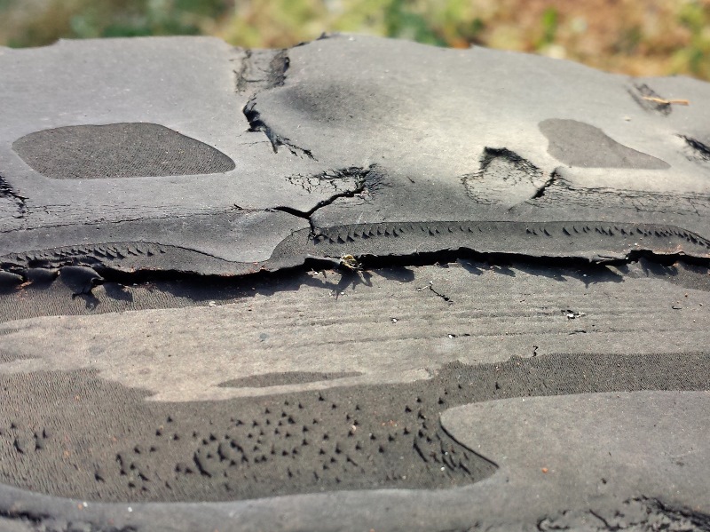 bridgestone d697 cut