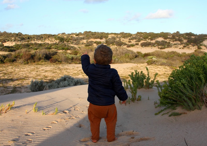 the new guy looking for salmon